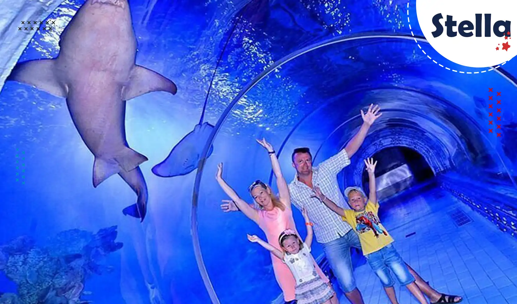 Bezoek het Grand Aquarium in Hurghada – perfect gezinsuitje met haaien, koraalriffen en tropische vissen.